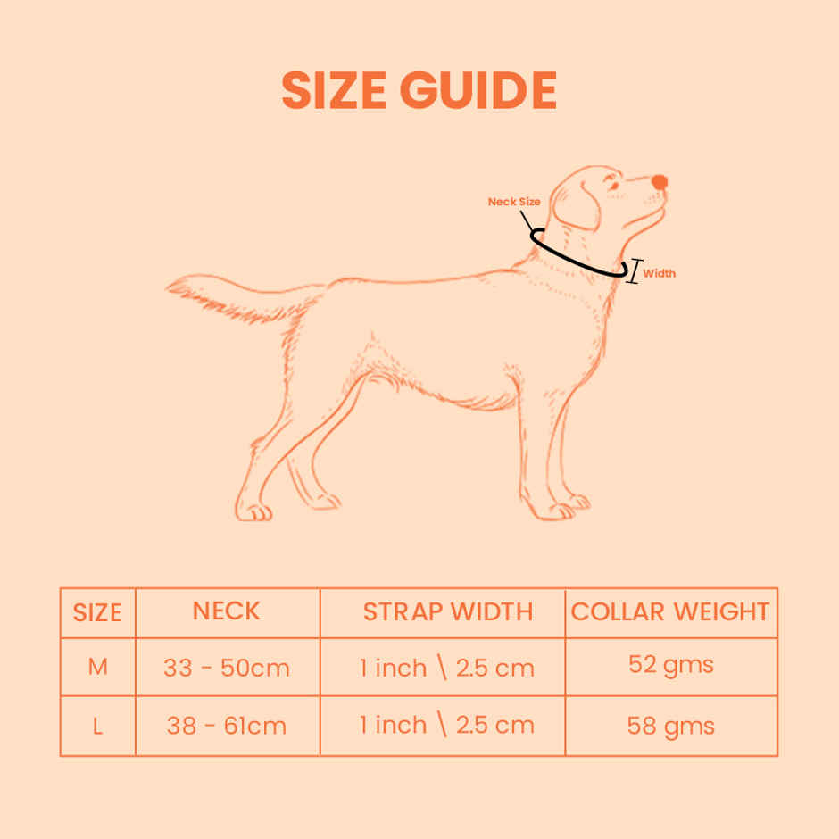 KIBBO Padded Reflective & Adjustable Dog Collar | Blue - Large