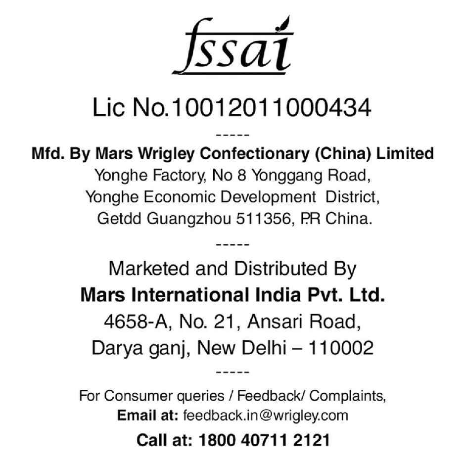 Doublemint Peppermint Flavour Chewy Mints Pot