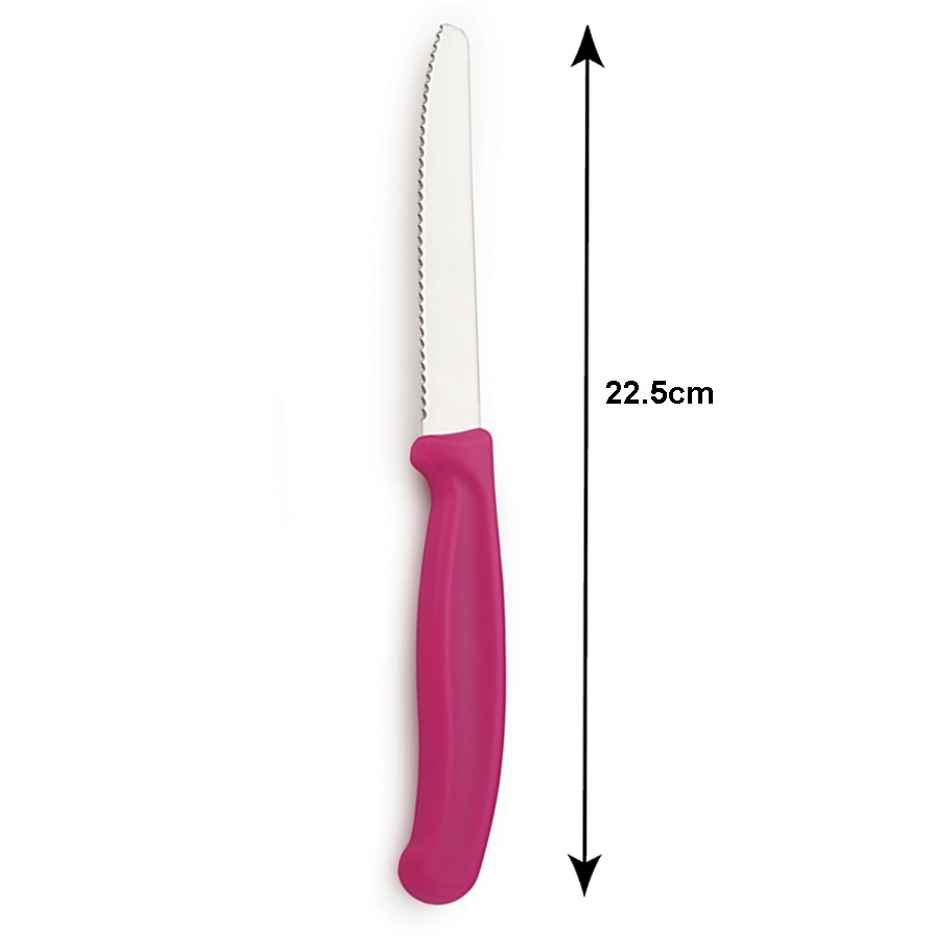 Petals Razor Sharp Superior Ss Blade Utility Knife | 12.5cm Blade Length