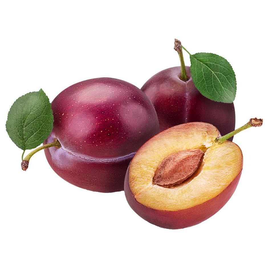 Plum Indian Loose