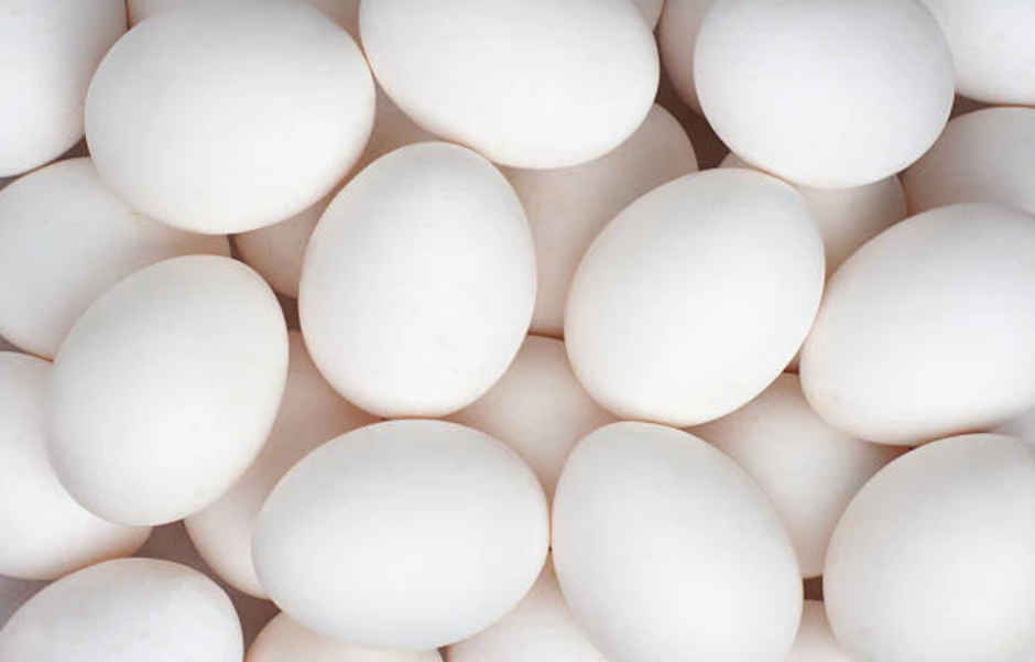 Mr. Yolk Pro Gold Eggs