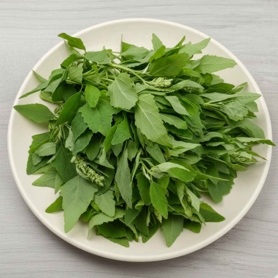 Chenopodium Leaves (Bathua Saag)