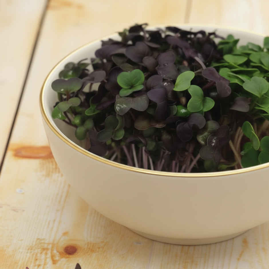 Microgreen Mix