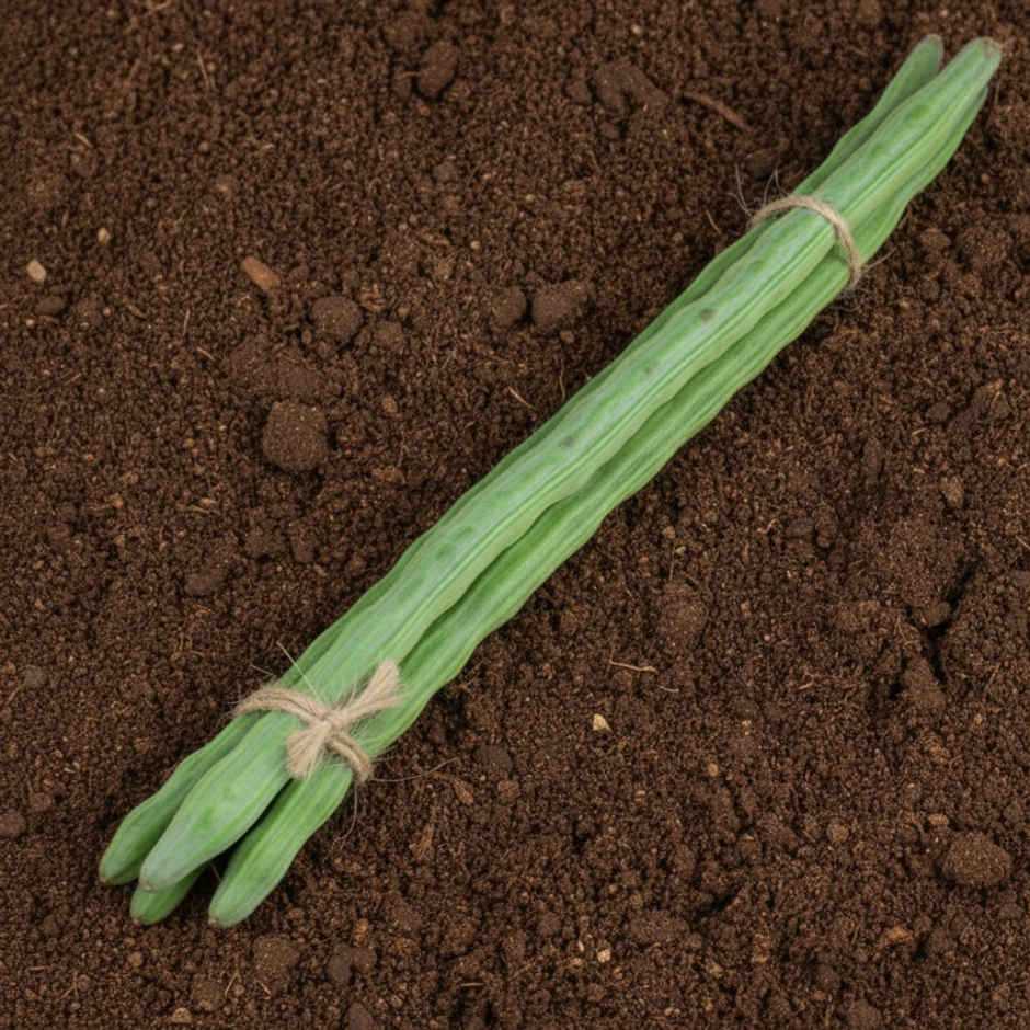 Organically Grown Drumstick