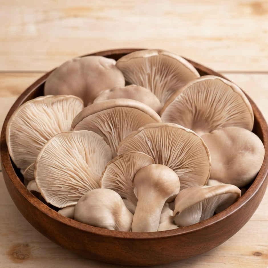 Mushroom Oyster