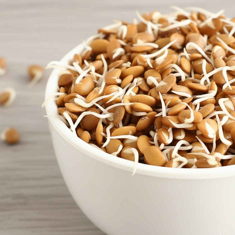 Horse Gram Sprouts