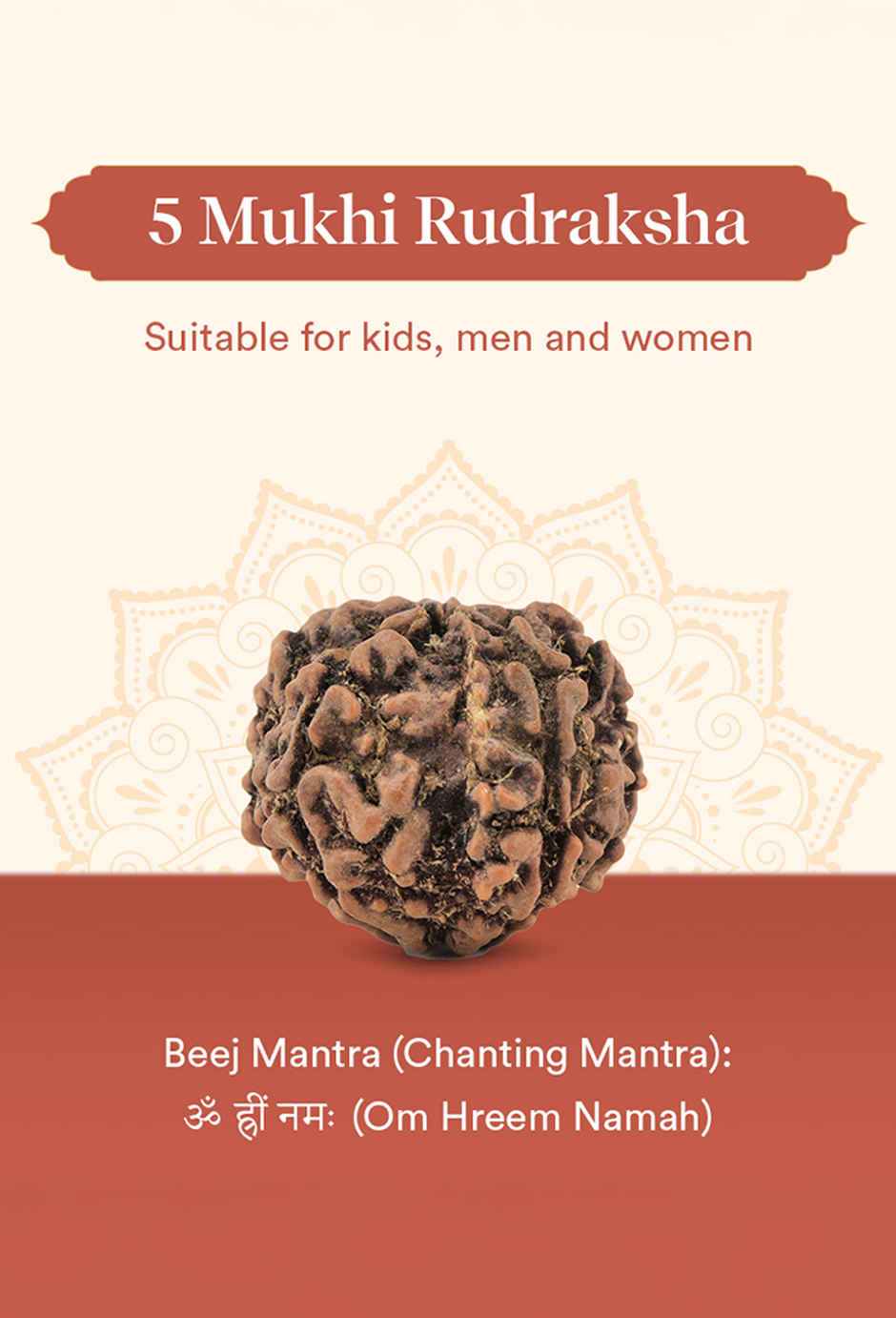 Panchmukhi Rudraksha | Single Bead | Meditation, Growth & Good Health | Pujashree
