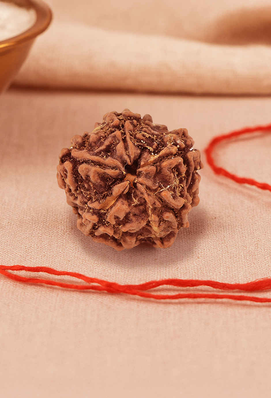 Panchmukhi Rudraksha | Single Bead | Meditation, Growth & Good Health | Pujashree