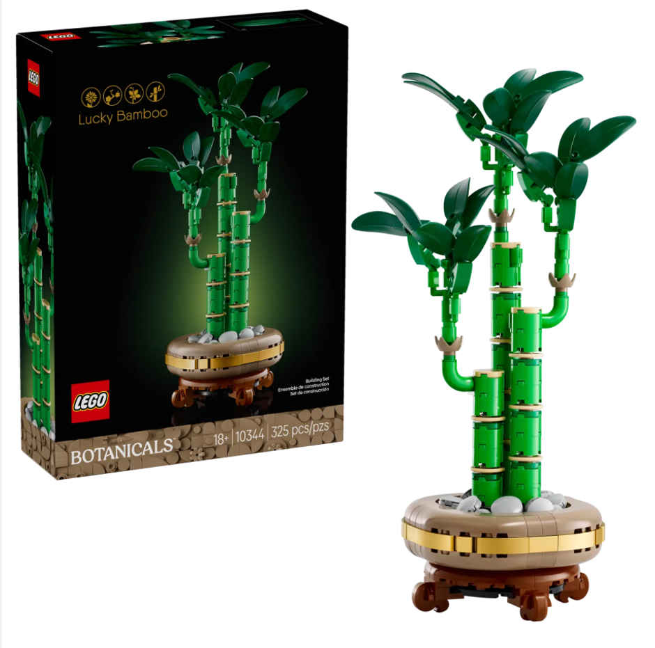 LEGO Botanicals Lucky Bamboo Plant Decor 10344 Building Blocks