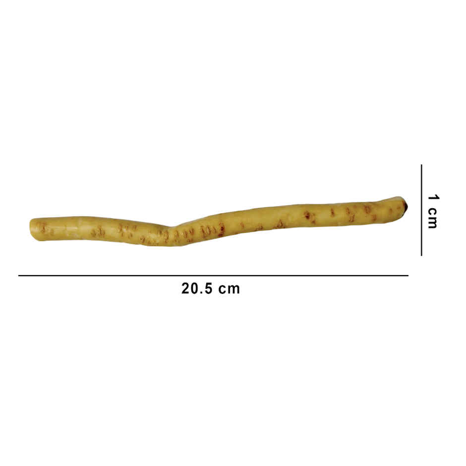 Natural Miswak Stick | B-NET