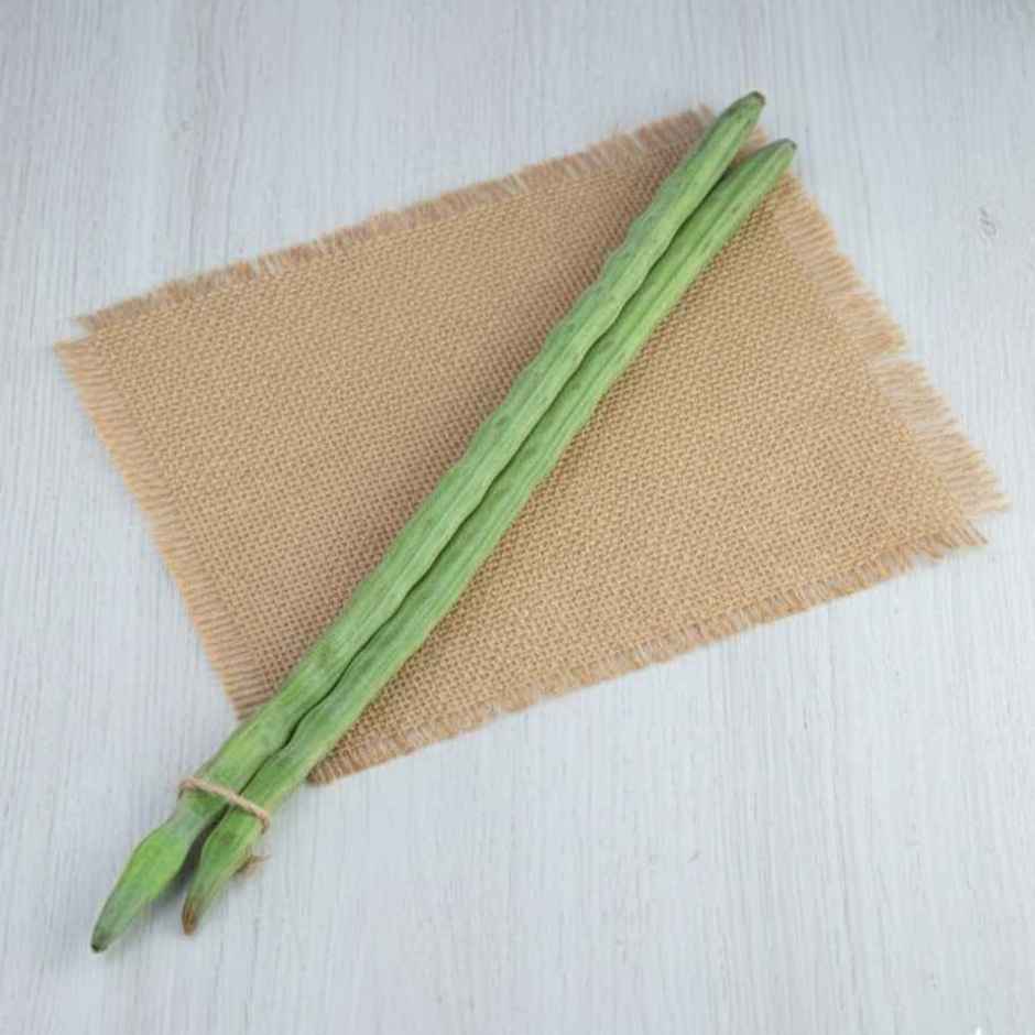 Drumstick
