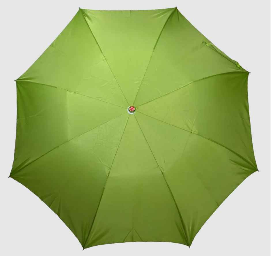 Citizen 21 Inch Mono Silver Umbrella - Lime Green