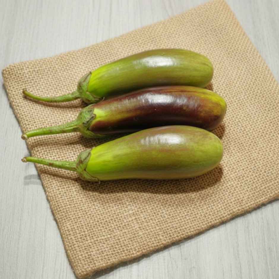 Brinjal Long Green (Bhangar)