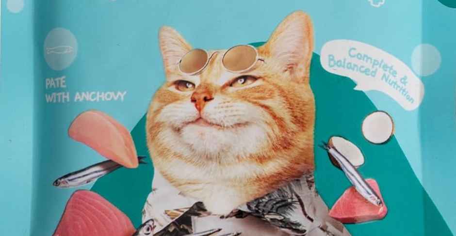 Moochie Cat Wet Food Digestive Care - Pate With Anchovy In Gravy | Gluten Free & No Preservative