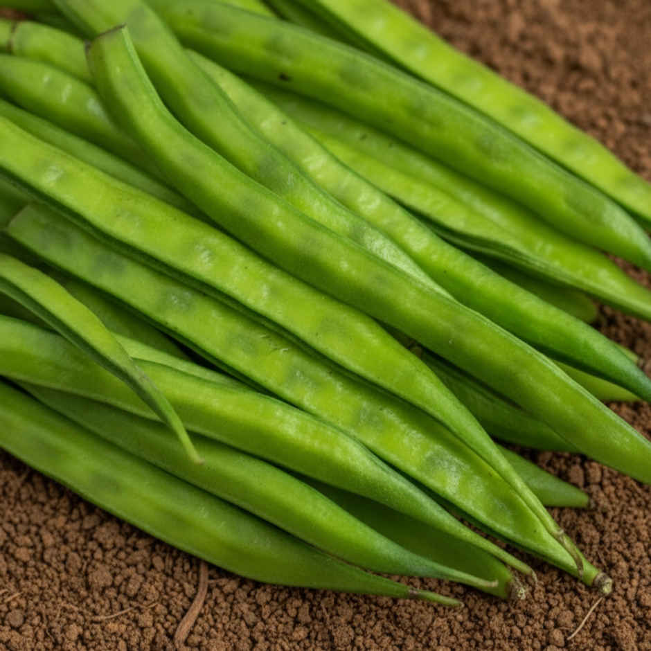Organically Grown Beans Cluster