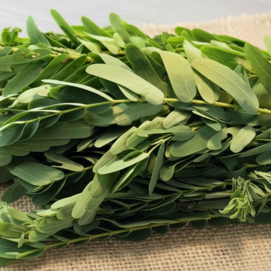 August Tree Leaves (Agathi Keerai)