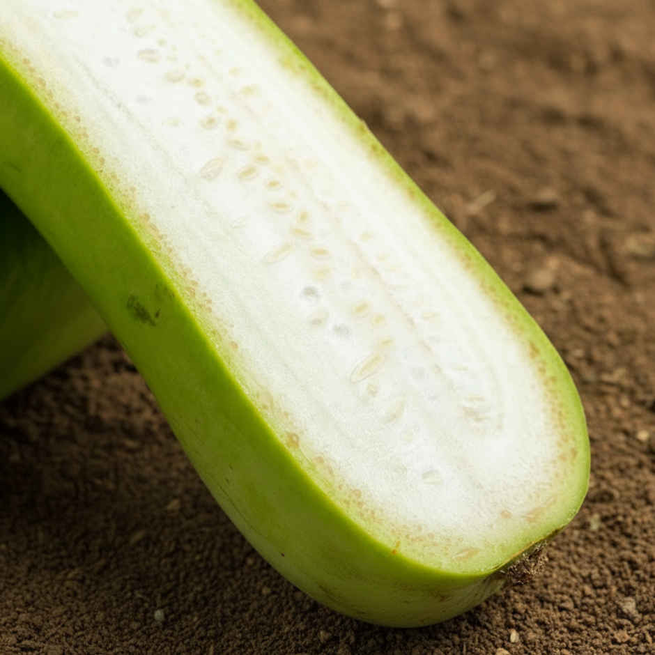 Organically Grown Bottle Gourd