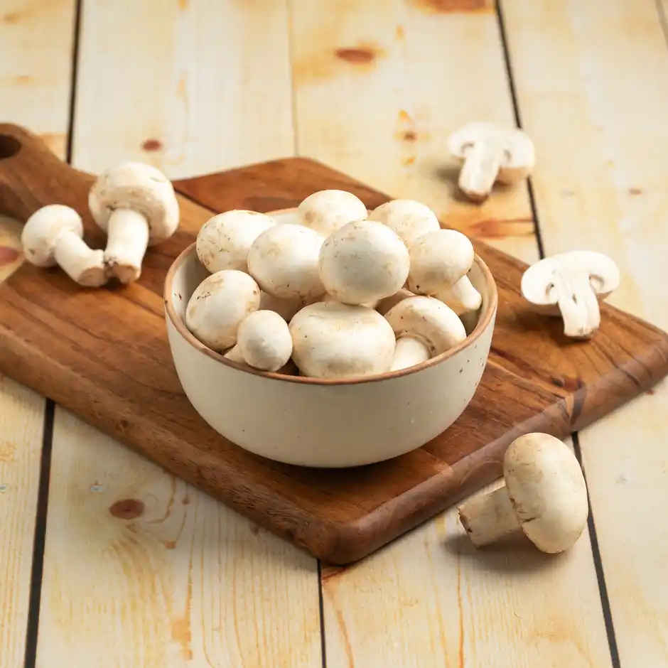 Pizza pasta must-haves