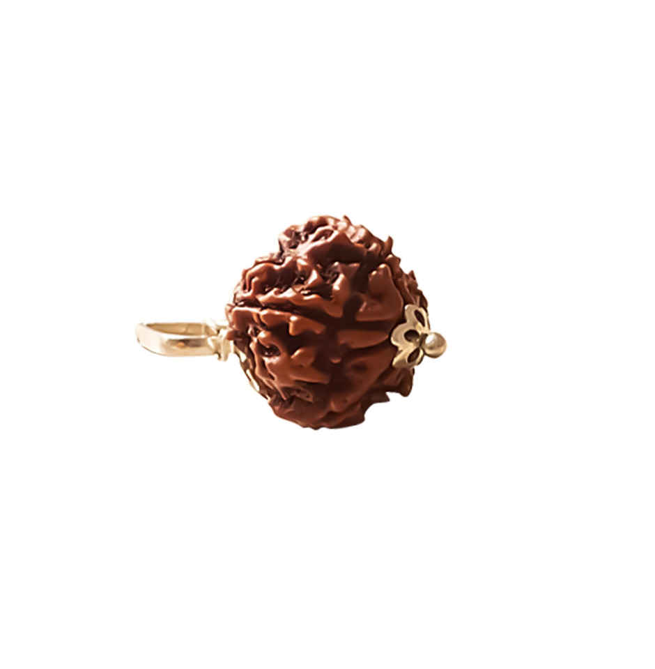 5 Mukhi Rudraksha | Single Bead with Wearing Thread | Svasti