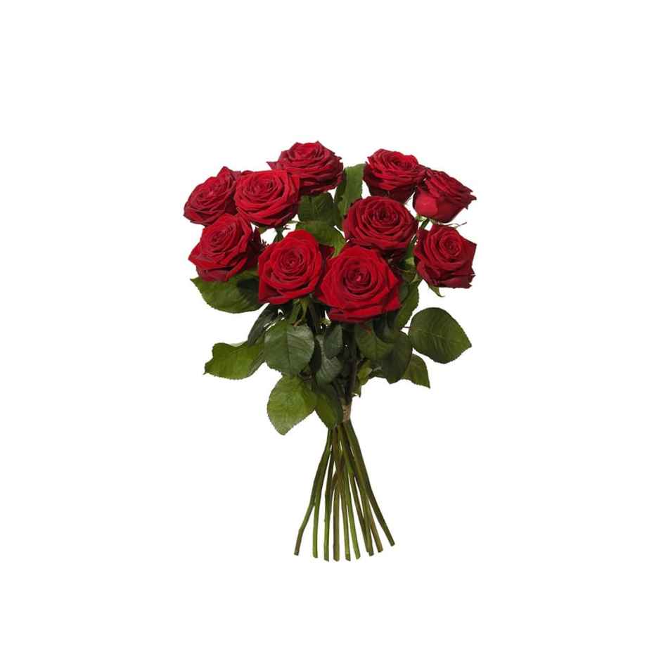 Red Rose Bouquet - 10 Roses