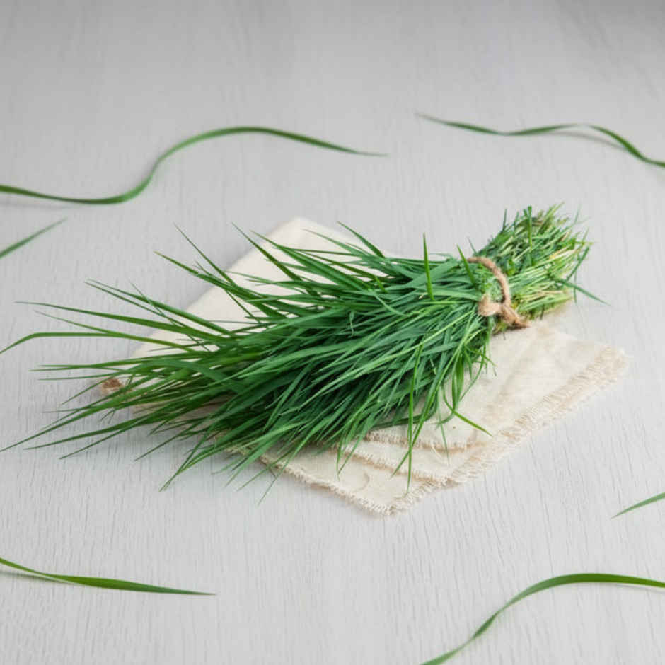 Durva Grass (Arugampul)