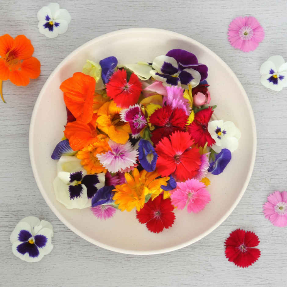 Edible Flowers