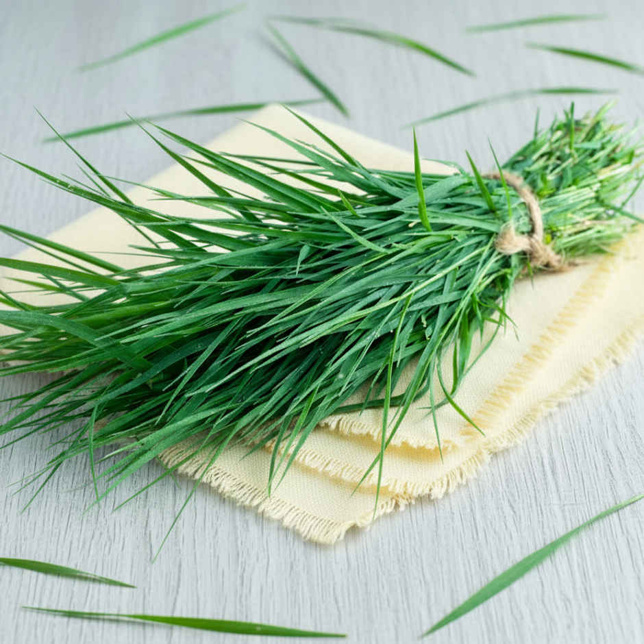 Durva Grass (Arugampul)