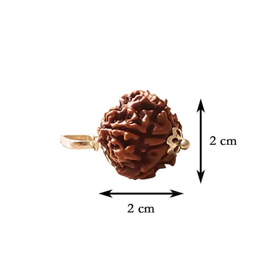 5 Mukhi Rudraksha | Single Bead with Wearing Thread | Svasti