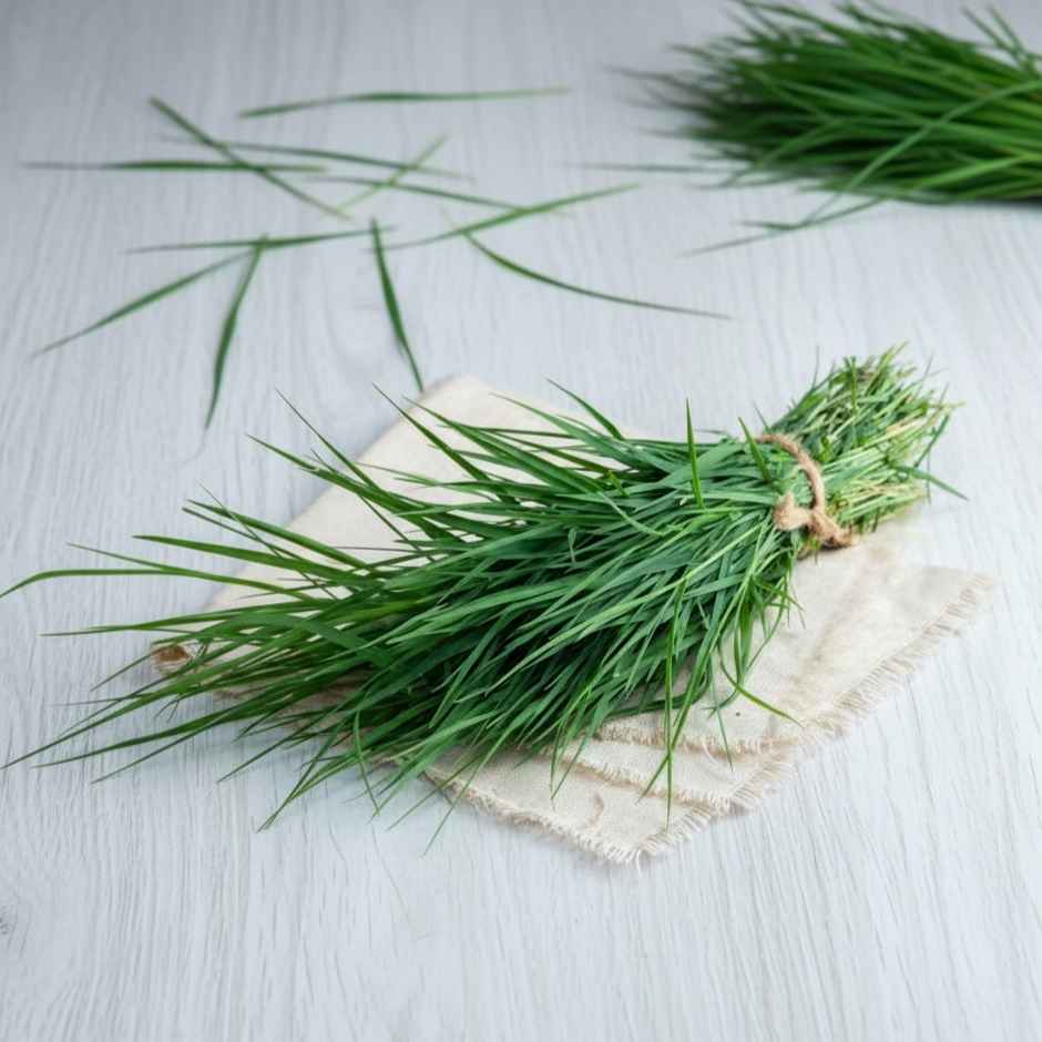 Durva Grass