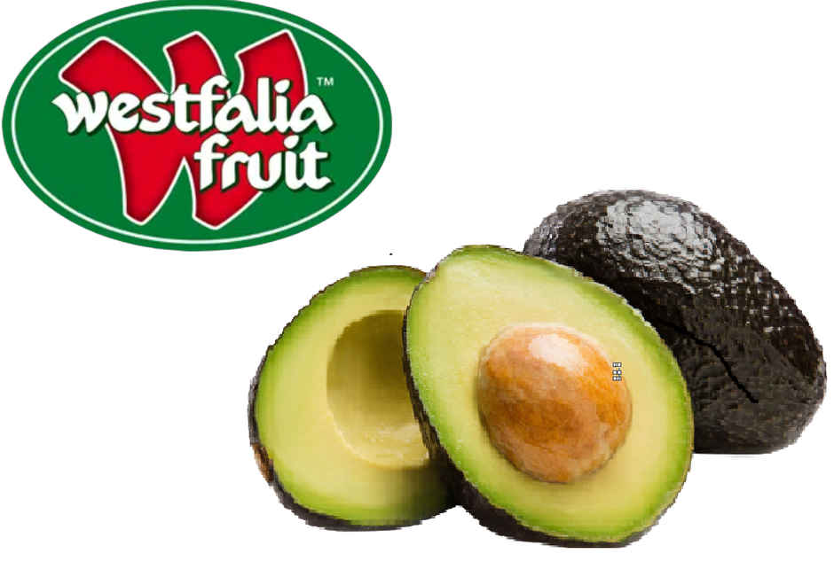 Westfalia Avocado Imported Semi Ripe