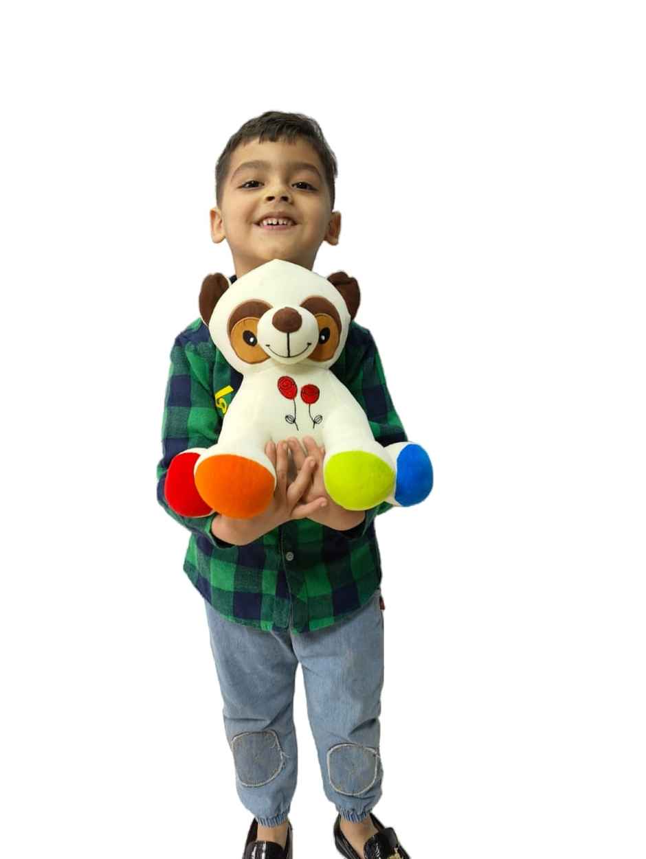 DearJoy Cute Dog Soft Toy - 30cm