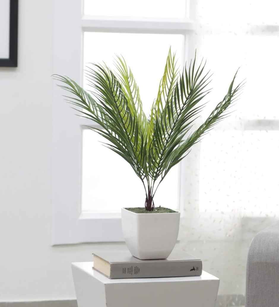 Casacraft by Pepperfry PVC Artificial Areca Plant | Without Pot