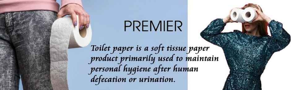 Premier Toilet Roll 10 in 1 | 160 pulls | 2 ply