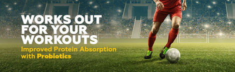 Yoga Bar 20g Protein Bar, Chocolate Baked Brownie, Multigrain Energy Bar, high Protein Bar