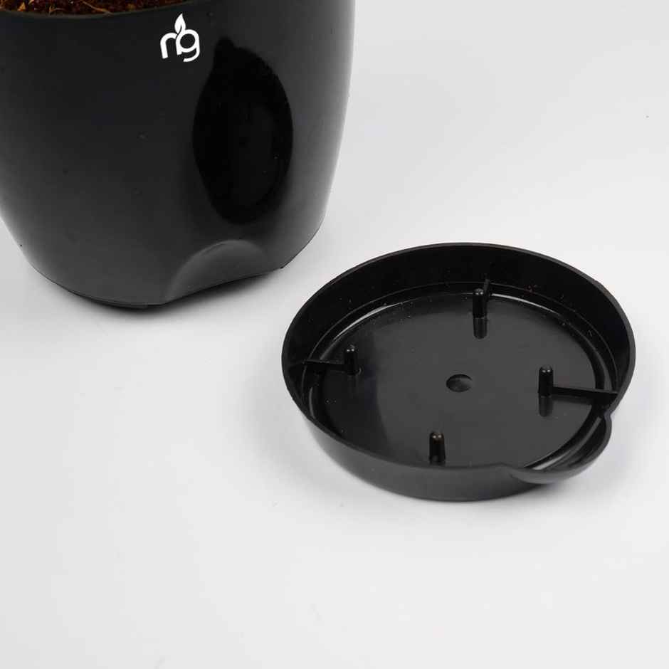 Nurturing Green - Self Watering Pots | Set of 5 | Black | Size: 8cm x 6.5cm | Flower Pots