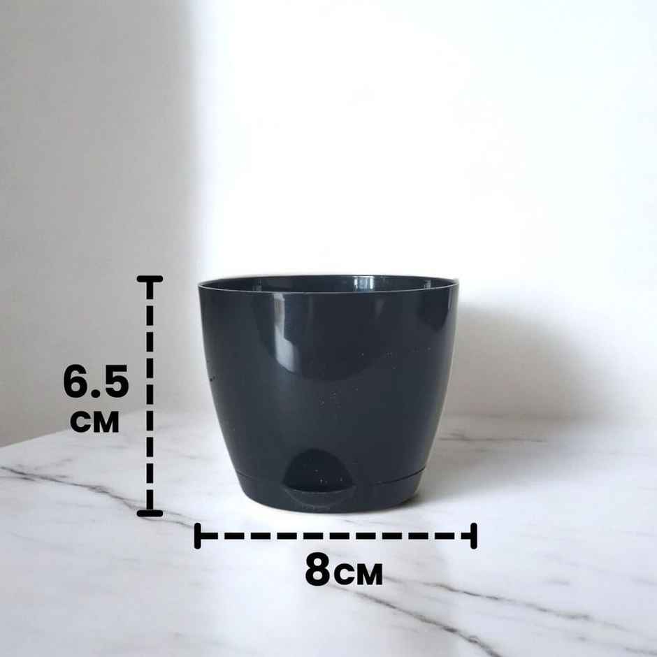 Nurturing Green - Self Watering Pots | Set of 5 | Black | Size: 8cm x 6.5cm | Flower Pots