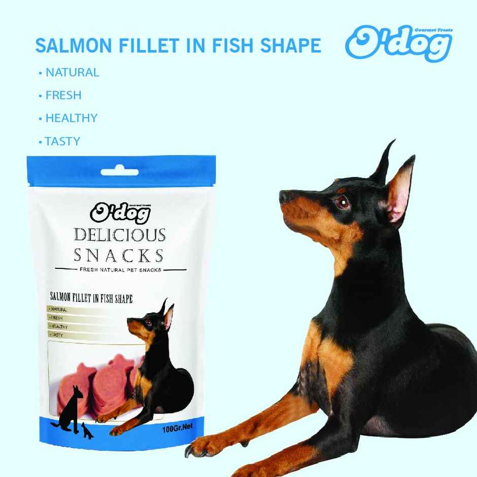Odog Salom Fillet In Fish Shape Dog Treats