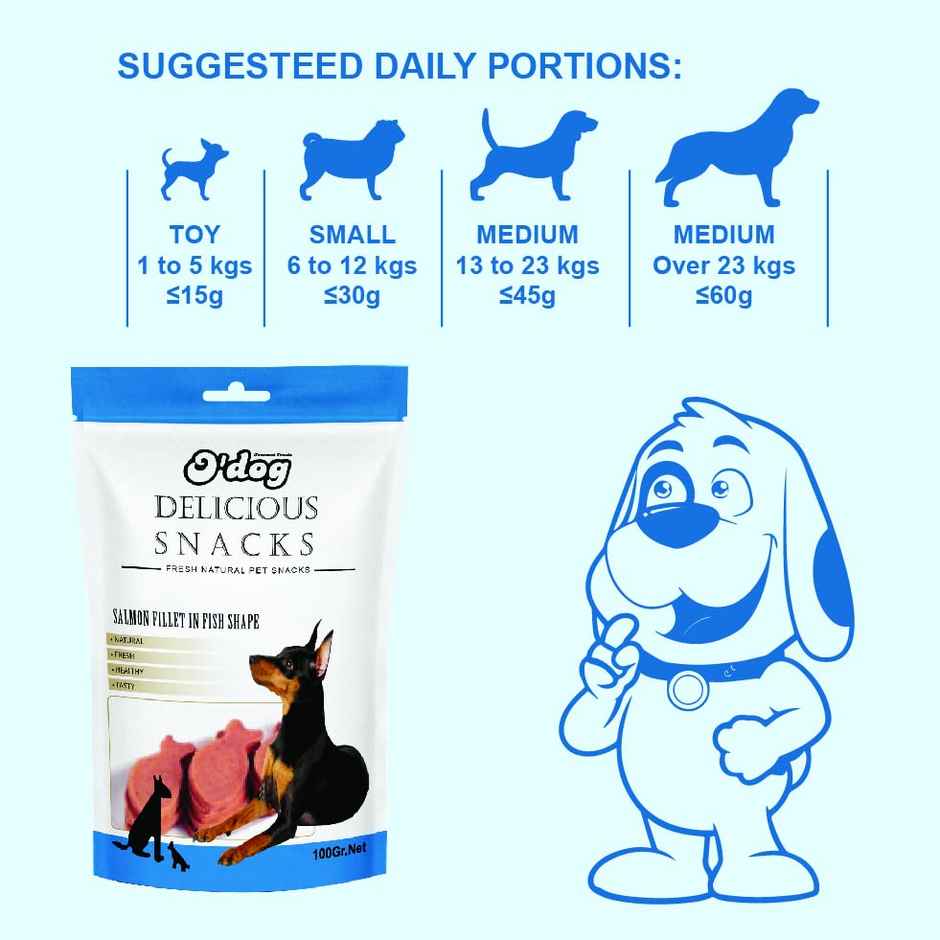 Odog Salom Fillet In Fish Shape Dog Treats