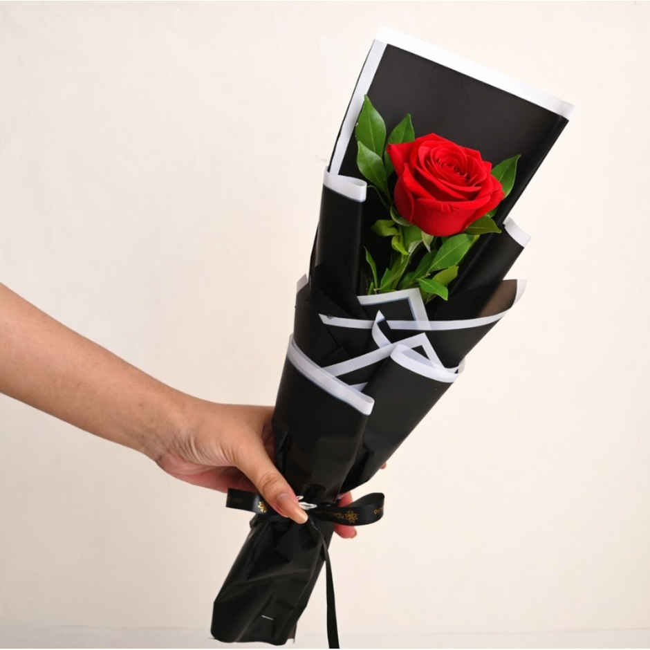 FlowerAura Single Red Rose in Black Premium Paper