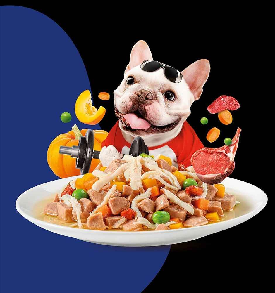 Moochie Dog Wet Food - Fit And Firm - Casserole With Lamb Gravy | Grain-Free