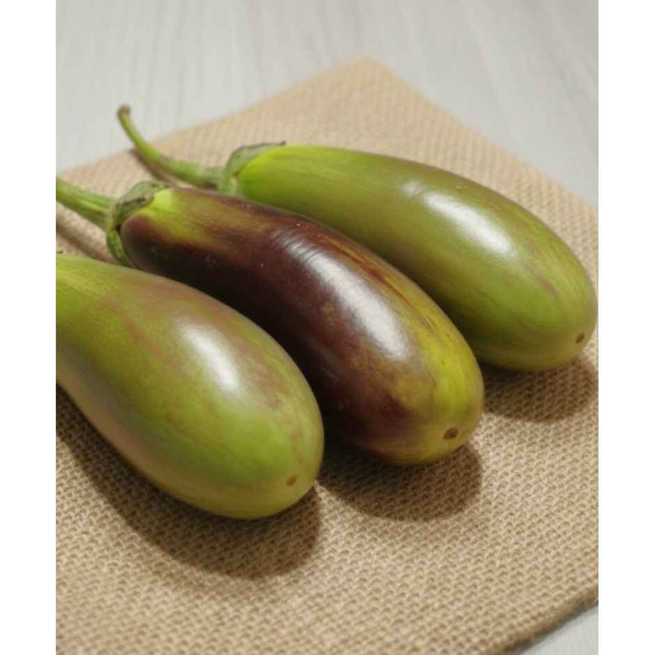 Brinjal Long Green (Bhangar)