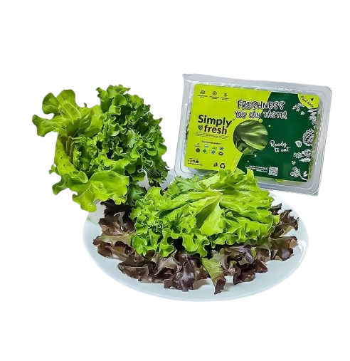 Lettuce Salad Mix