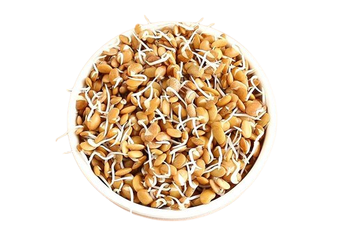 Horse Gram Sprouts