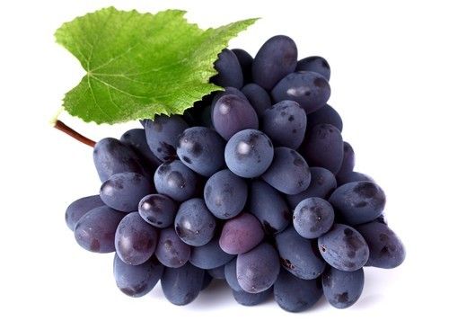 Grapes Bangalore Blue