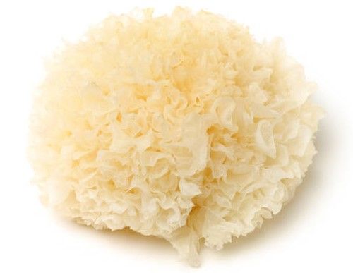 White Fungus Dried