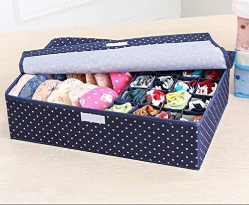 Capsicum Lingerie Storage Case Travel Case - Assorted
