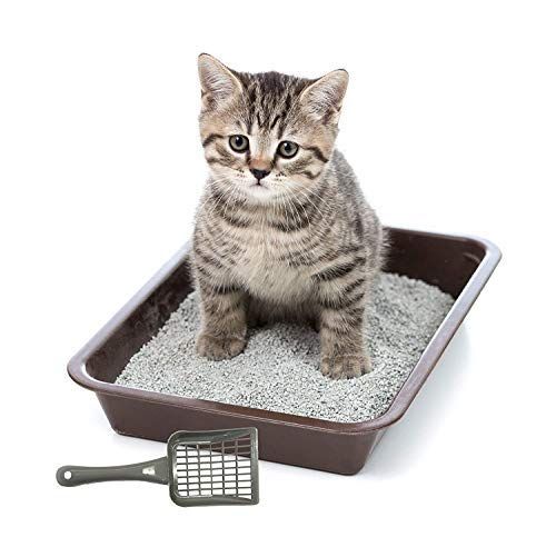 Nootie Cat Litter Scoop (Colour May Vary)