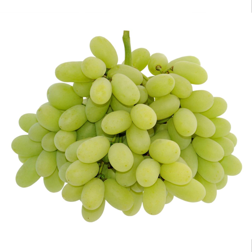 Grapes Green Thompson