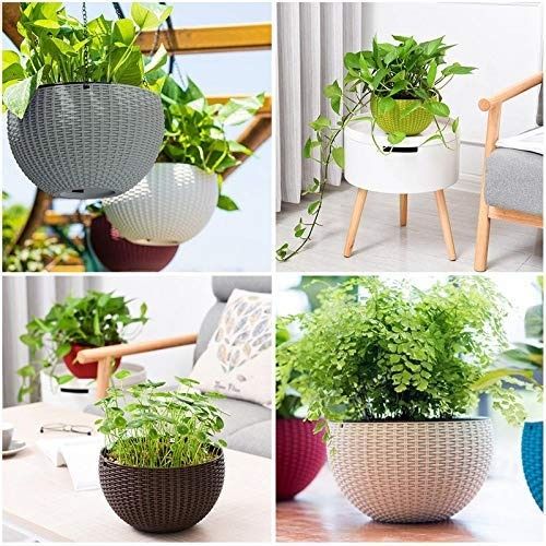 Go Hooked Plastic Multicolor Hanging Pot | Round with Chain Hanging | Set Of 5