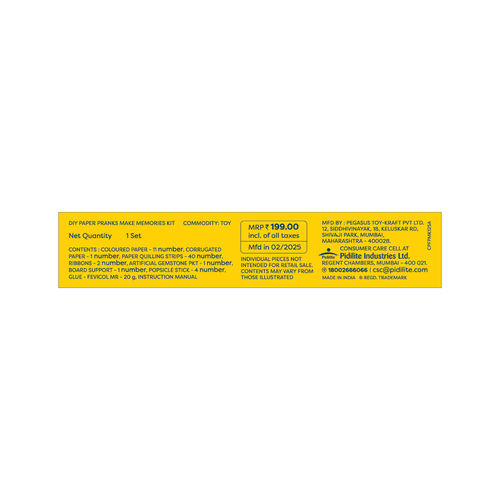 Fevicreate Paper Pranks Art & Craft Kit